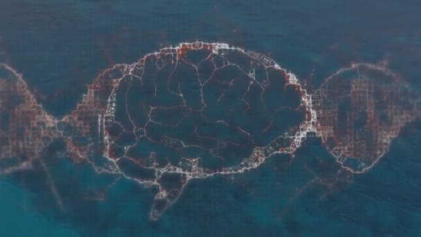 Animación Del Cerebro Humano Sobre Paisaje Marino Ciencia Global Conexiones — Vídeos de Stock