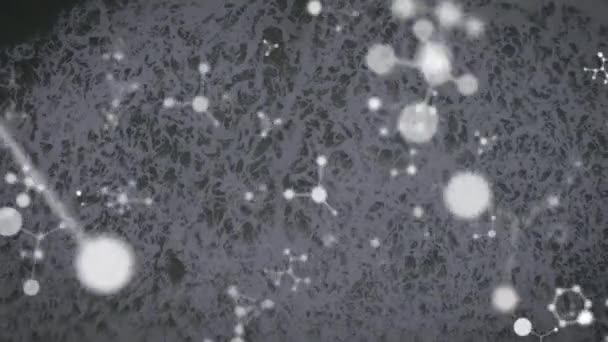 Animación Moléculas Que Caen Sobre Paisaje Marino Ciencia Global Conexiones — Vídeo de stock