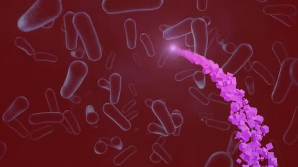 Анимация Движущихся Клеток Красном Фоне Мировая Медицина Медицинские Услуги Концепция — стоковое видео