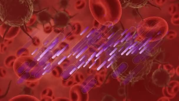 Kırmızı Zemin Üzerinde Hareket Eden Hücrelerin Animasyonu Küresel Tıp Sağlık — Stok video