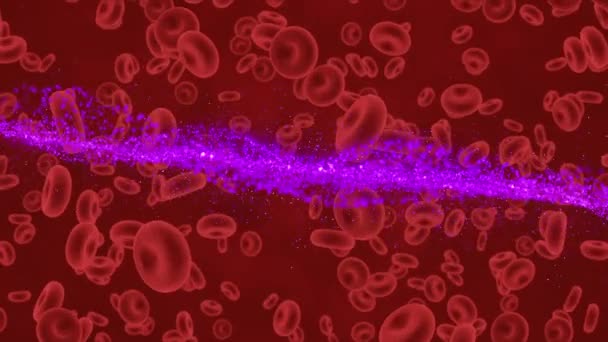 Animación Onda Púrpura Sobre Células Movimiento Sobre Fondo Rojo Medicina — Vídeos de Stock
