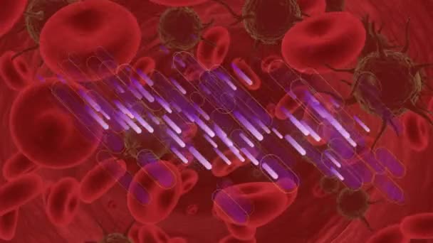 赤い背景に動く細胞のアニメーション 医療サービスの概念はデジタルで生成され — ストック動画
