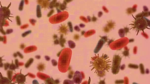 Κινούμενα Κύτταρα Κόκκινο Φόντο Παγκόσμια Ιατρική Έννοια Υπηρεσιών Υγειονομικής Περίθαλψης — Αρχείο Βίντεο