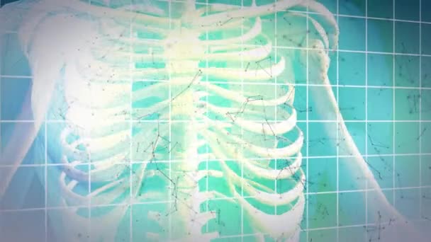 青い背景に骨格とグリッドのアニメーション 医療サービスの概念はデジタルで生成され — ストック動画