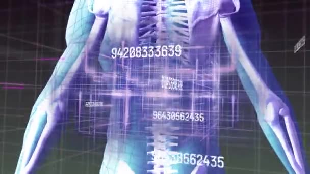 Animação Números Crescentes Sobre Corpo Humano Rotativo Conceito Global Ciência — Vídeo de Stock