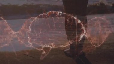 Deniz manzarası üzerinde insan beyni animasyonu. küresel bağlantılar, iş dünyası, dijital arayüz, teknoloji konsepti dijital olarak oluşturulmuş video.