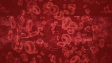 Kırmızı zemin üzerinde hareket eden hücrelerin animasyonu. küresel tıp ve sağlık hizmetleri konsepti dijital olarak oluşturulmuş video.