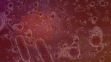 Kırmızı zemin üzerinde hareket eden hücrelerin animasyonu. küresel tıp ve sağlık hizmetleri konsepti dijital olarak oluşturulmuş video.