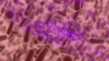 Kırmızı zemin üzerinde hareket eden hücrelerin mavi dalga animasyonu. küresel tıp ve sağlık hizmetleri konsepti dijital olarak oluşturulmuş video.