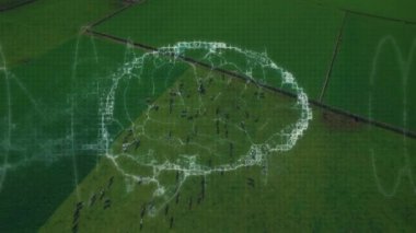 Manzara üzerinde insan beyni animasyonu. küresel bilim, bağlantılar, veri işleme ve dijital arayüz kavramı dijital olarak oluşturulmuş video.