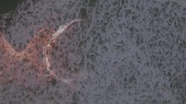 Deniz manzarası üzerinde insan beyni animasyonu. küresel bilim, bağlantılar, veri işleme ve dijital arayüz kavramı dijital olarak oluşturulmuş video.