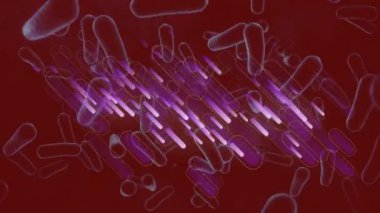 Kırmızı zemin üzerinde hareket eden hücrelerin animasyonu. küresel tıp ve sağlık hizmetleri konsepti dijital olarak oluşturulmuş video.