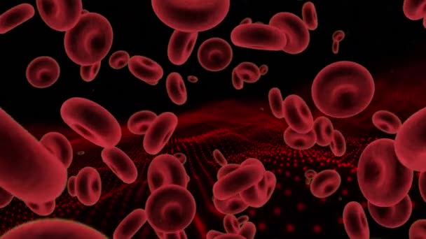 黒の背景に浮かぶ血液細胞のアニメーション 世界中の科学と医学の概念をデジタルで — ストック動画
