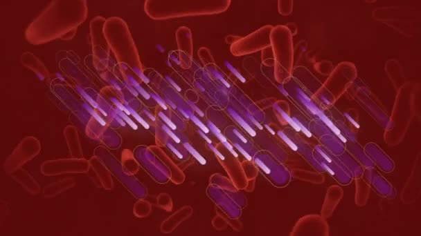 Animación Senderos Púrpura Sobre Celdas Movimiento Sobre Fondo Rojo Medicina — Vídeos de Stock