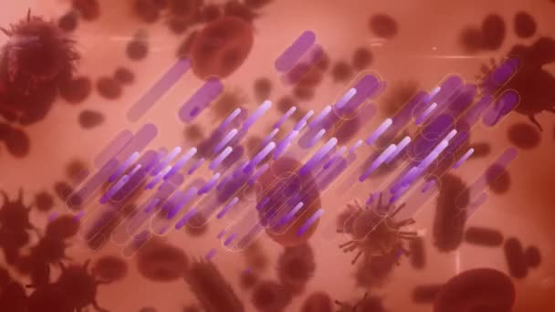 Animation Moving Cells Red Background Global Medicine Healthcare Services Concept — Stockvideo