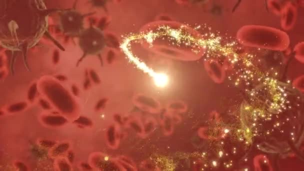 Animación Rastro Luz Sobre Células Movimiento Sobre Fondo Rojo Medicina — Vídeos de Stock