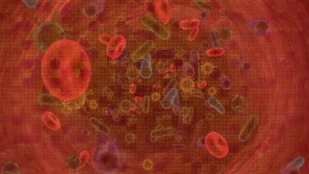 Анімація Рухомих Комірок Червоному Тлі Глобальна Медицина Концепція Медичних Послуг — стокове відео