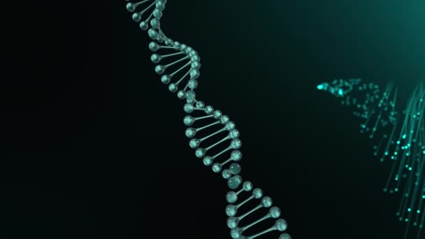Animation Dna Chain Green Lines Black Background Global Science Medicine — Stock Video