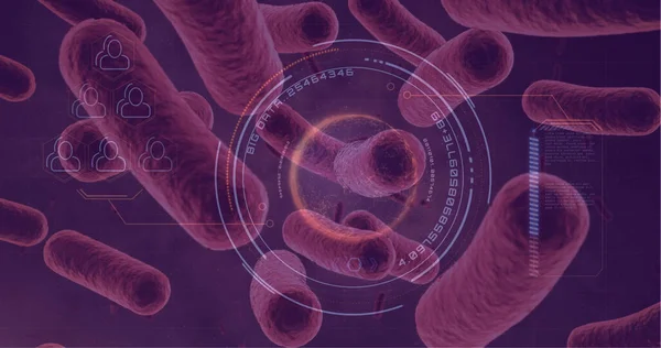 Cyfrowo Wygenerowane Komórki Bakteryjne Krwiobiegu — Zdjęcie stockowe