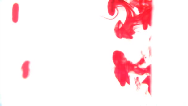 Анімація Тексту Над Рожевим Димом Рухається Дизайн Моди Концепція Одягу — стокове відео
