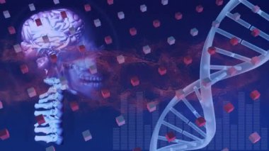 Animation of science data processing on. global science research and technology concept digitally generated video.