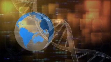 Animation of spinning globe over spinning dna strand on colorful background. global connections, business, digital interface, technology and networking concept digitally generated video.