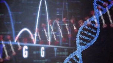 Animation of dna strands and diagram on black background. social media and communication interface concept digitally generated video.