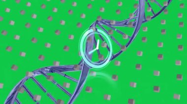 Animation of clock over dna strand. global science research and technology concept digitally generated video.