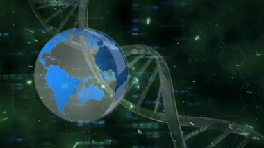 Animation of globe over dna strand and data processing. global connections, business, digital interface, technology and networking concept digitally generated video.