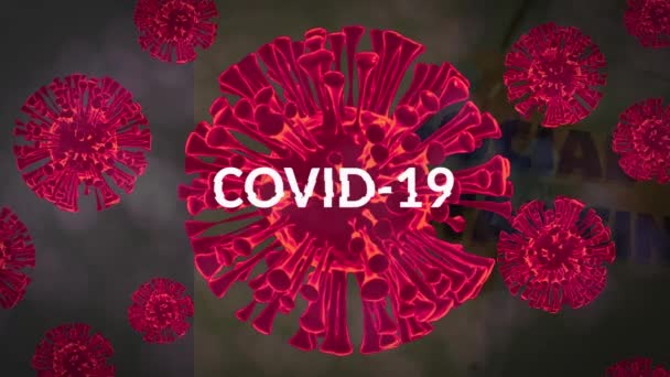 複数の赤いウイルス細胞上のCovid 19テキストのアニメーション コロナウイルスの間の医療と医療サービスは19のパンデミックの概念をデジタルで生成したビデオ — ストック動画