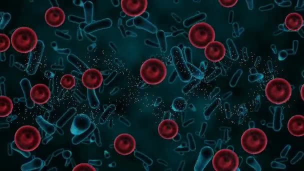 Animation Blood Bacteria Cells Black Background Blood Donation Day Concept — 비디오