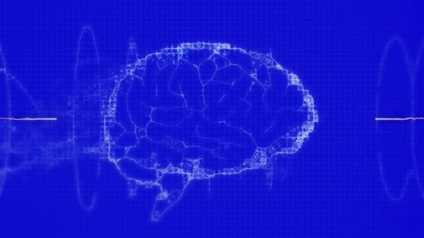 Animación Del Cerebro Humano Senderos Azules Sobre Fondo Azul Oscuro — Vídeo de stock