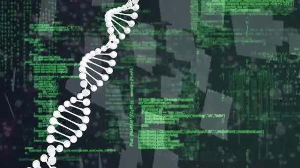 Animation Spinning Dna Strand Data Processing Global Science Research Technology — Vídeo de Stock