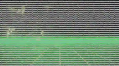 Siyah arkaplandaki neon hatları üzerindeki bozulma animasyonu. veri işleme ve teknoloji konsepti dijital olarak oluşturulmuş video.