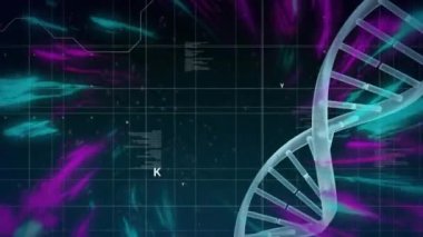 Animation of data processing and purple trails over dna strand. science and digital interface concept digitally generated video.