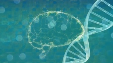 Dijital beyin animasyonu ve DNA ipliği üzerindeki ışık noktaları. bilim ve dijital arayüz kavramı dijital olarak oluşturulmuş video.