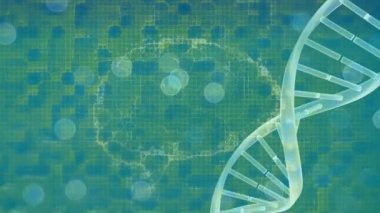 Dijital beyin animasyonu ve DNA ipliği üzerindeki ışık noktaları. bilim ve dijital arayüz kavramı dijital olarak oluşturulmuş video.