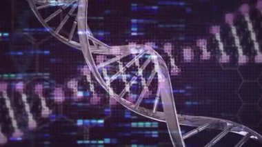 Animation of light spots and dna strands on black background. social media and communication interface concept digitally generated video.