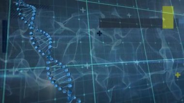 Şebeke üzerinde DNA ipliği döndürme animasyonu. Dijital ortamda üretilmiş küresel bilim ve teknoloji kavramı.