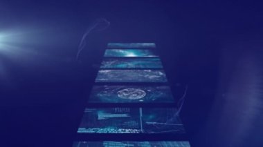 Animation of screens with data processing on blue background. colour, movement and energy background concept, digitally generated video.