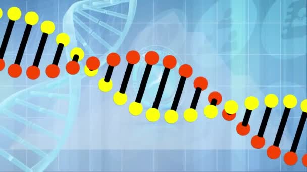 Animation Klockan Rör Sig Och Medicinska Ikoner Över Dna Strängen — Stockvideo