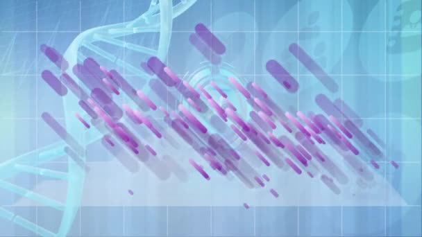 Animation Dna Strand Purple Lines Data Processing Science Digital Interface — Stock video