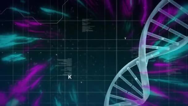Animation Data Processing Purple Trails Dna Strand Science Digital Interface — Wideo stockowe