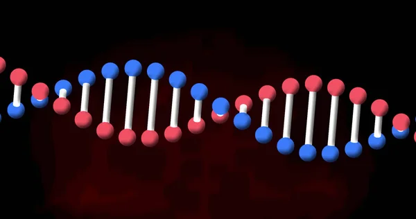 Immagine Del Filamento Del Dna Che Gira Sfondo Rosso Nero — Foto Stock