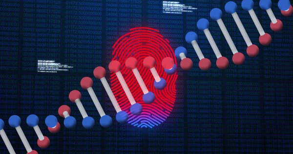 Image Scanning Fingerprint Dna Strand Research Data Processing Black — Stockfoto