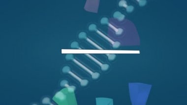 Animation of dna chain, graph and green loading bar on blue background. global connections, data, science and technology concept digitally generated video.