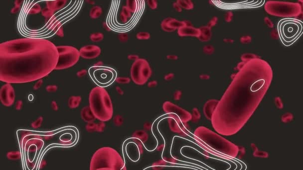 在白线黑色背景上对脱落的软体动物19细胞进行动画化处理 全球联盟19大流行病概念数码视频 — 图库视频影像
