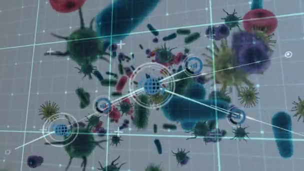 灰色の背景にCovid 19細胞および血管に対するデジタルアイコンのネットワーク 世界的なネットワーキングと医療研究技術の概念 — ストック動画