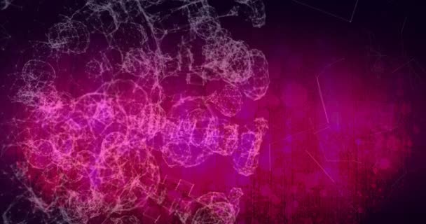 분홍색 차이에 대항하여 연결의 네트워크의 디지털 애니메이션 — 비디오