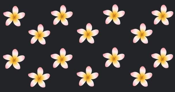 Animation Lipstick Flowers Black Background Hobby Lifestyle Concept Digitally Generated — Wideo stockowe